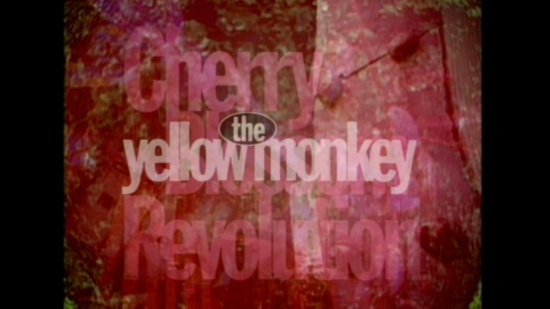 Cherry Blossom Revolution -Live at BUDOKAN-
