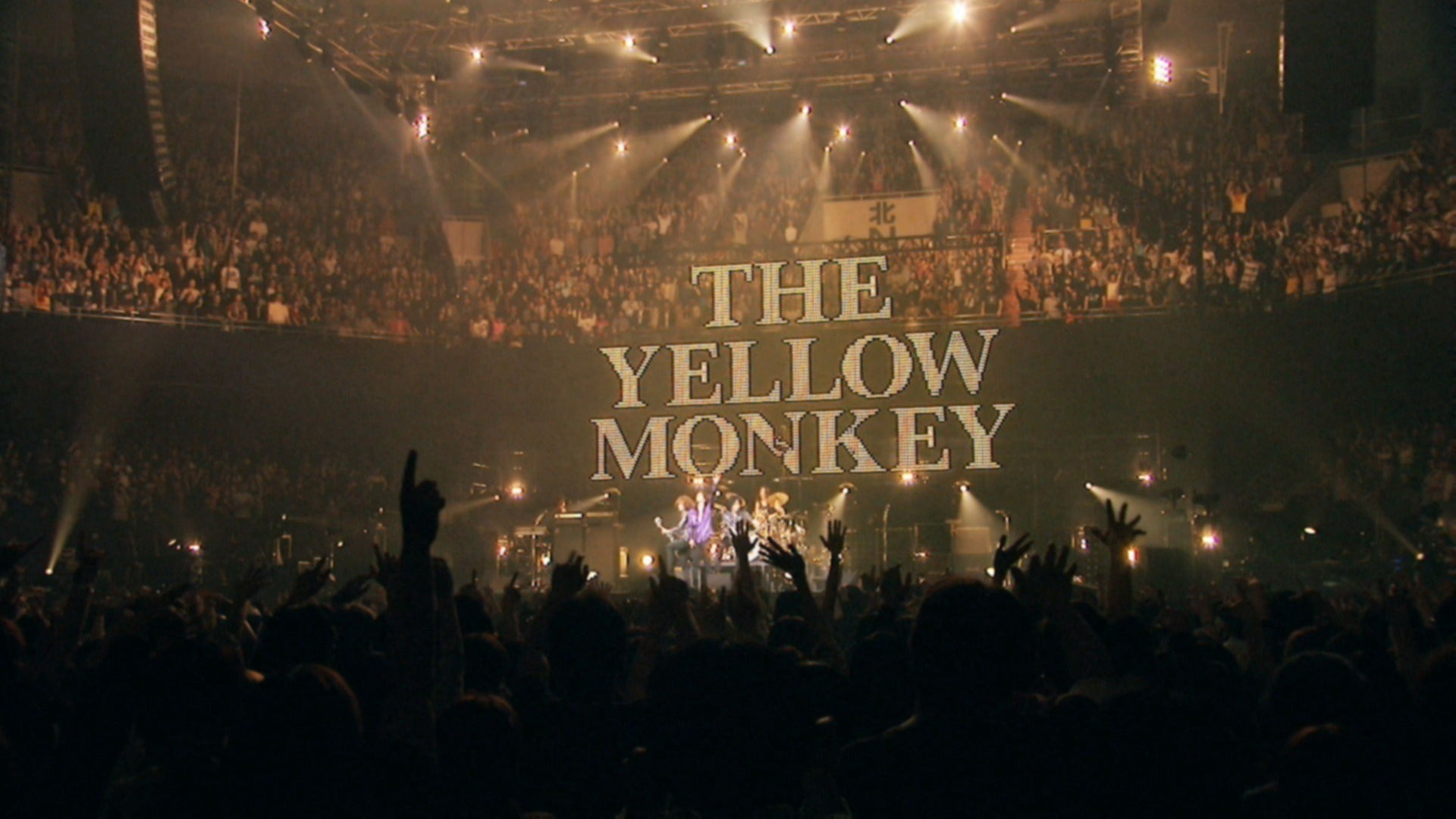 花*雪様 THE YELLOW MONKEY/メカラ ウロコ・LIVE DVD- メカラウロコLIVE DVD BOX、武道館公演収録